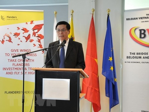 Doanh nghiệp Bỉ tăng cường hợp tác giao thương với Việt Nam - ảnh 1
