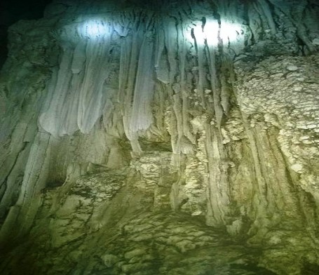 Phát hiện thêm 44 hang động mới trong khu vực Phong Nha - Kẻ Bàng - ảnh 1