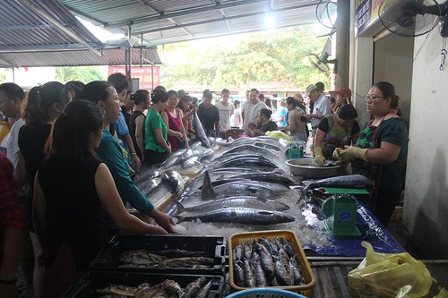 Nhộn nhịp Chợ Bến cá Cửa Lò - ảnh 27