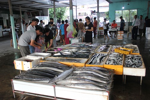  Nhộn nhịp Chợ Bến cá Cửa Lò - ảnh 28