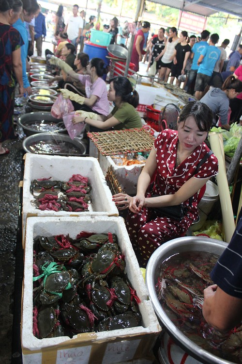  Nhộn nhịp Chợ Bến cá Cửa Lò - ảnh 25