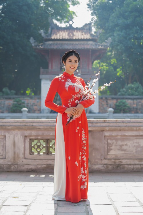 Hoa hậu Ngọc Hân với bộ sưu tập áo dài “Sắc màu phồn vinh" - ảnh 3