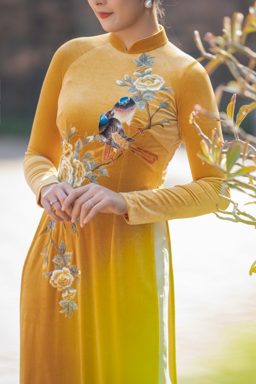 Hoa hậu Ngọc Hân với bộ sưu tập áo dài “Sắc màu phồn vinh" - ảnh 17