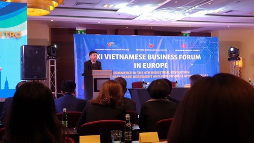 Doanh nghiệp Việt kiều châu Âu với cơ hội EVFTA chính thức khai mở - ảnh 1