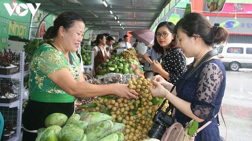 Tỉnh Sơn La tăng cường xuất khẩu nông sản - ảnh 1