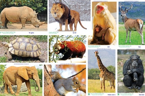 Hợp tác bảo vệ động vật hoang dã trong ASEAN   - ảnh 1