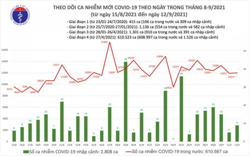 Ngày 12/9, Việt Nam công bố hơn 12.000 ca mắc COVID-19 - ảnh 1