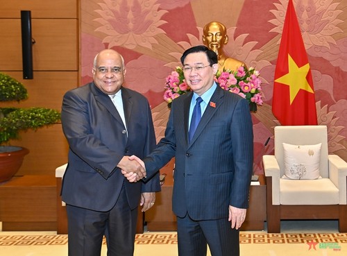 Thúc đẩy hơn nữa quan hệ giữa Việt Nam với Cuba và Nga - ảnh 1