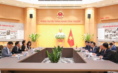 Việt Nam - Hàn Quốc thúc đẩy hợp tác trong lĩnh vực thương mại - ảnh 1