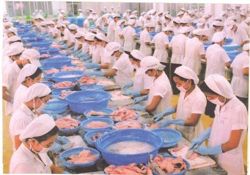 Áp thuế chống bán phá giá đối với cá tra của Việt Nam là không công bằng  - ảnh 1