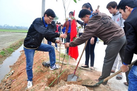 Đà Nẵng ra  quân “Tết trồng cây” năm 2014 - ảnh 1
