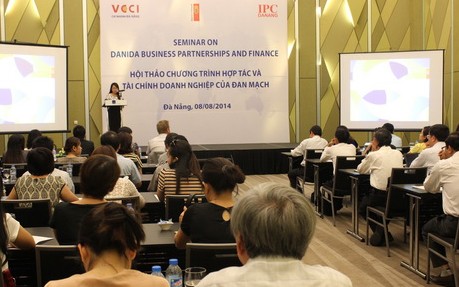 Đan Mạch hỗ trợ tài chính và hợp tác phát triển kinh tế tư nhân tại Việt Nam - ảnh 1
