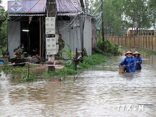 Các nhà tài trợ quốc tế cam kết giúp Việt Nam chống biến đổi khí hậu - ảnh 1
