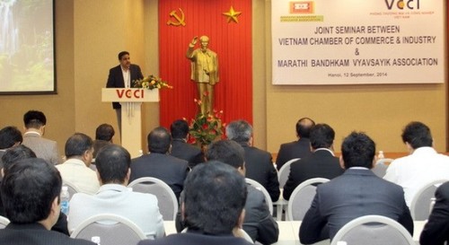 Việt Nam và Ấn Độ tìm kiếm cơ hội tăng cường hợp tác về du lịch - ảnh 1