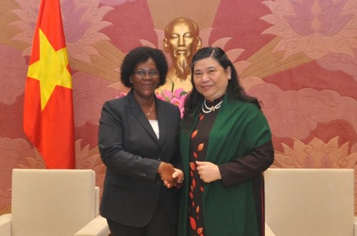 Quốc hội Việt Nam và Quốc hội Mozambique nỗ lực tăng cường quan hệ hợp tác  - ảnh 1