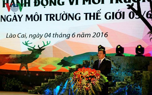 Phó Thủ tướng Trịnh Đình Dũng  dự lễ phát động “Tháng hành động vì môi trường” tại Lào Cai - ảnh 1