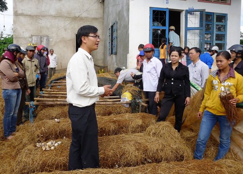 ActionAid Việt Nam hỗ trợ người nghèo xây dựng mô hình sinh kế bền vững  - ảnh 1