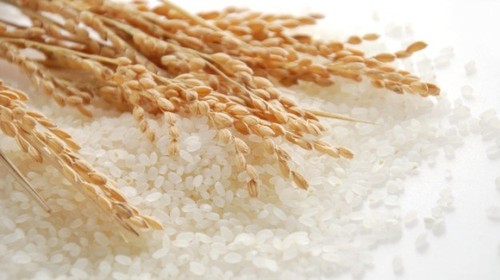 Việt Nam tiếp tục bán 1,5 triệu tấn gạo mỗi năm cho Philipines - ảnh 1