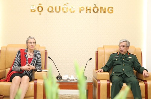 Việt Nam và Hà Lan hợp tác về giữ gìn hòa bình Liên hợp quốc - ảnh 1
