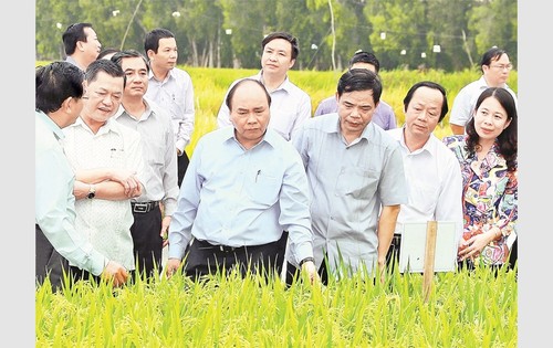 Thủ tướng Nguyễn Xuân Phúc thăm và làm việc tại tỉnh An Giang - ảnh 1