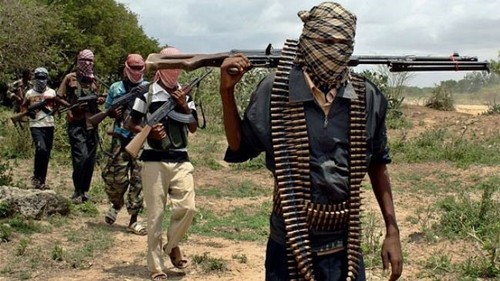 Niger kills 12 Boko Haram gunmen  - ảnh 1