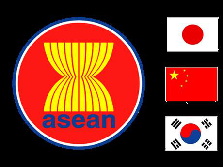 ASEAN+3 targets broader community - ảnh 1