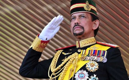 Sultan of Brunei to pay State visit to Vietnam - ảnh 1