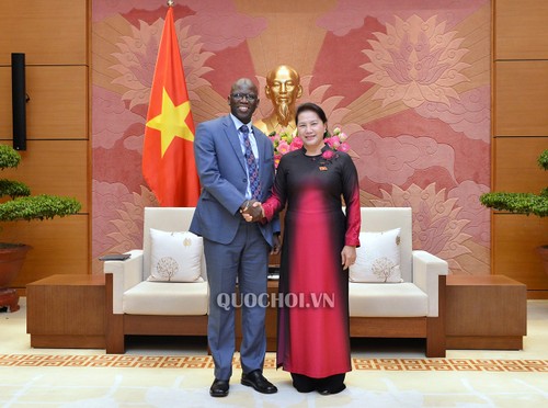 NA Chairwoman receives WB country director - ảnh 1