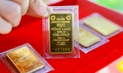 Vietnam largest gold market in Southeast Asia: study - ảnh 1
