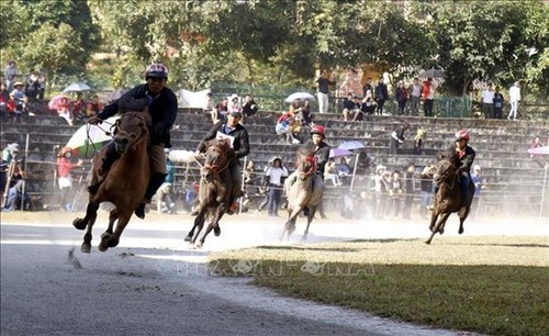 Traditional horse race recognised as national intangible heritage - ảnh 2