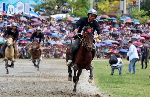 Traditional horse race recognised as national intangible heritage - ảnh 1