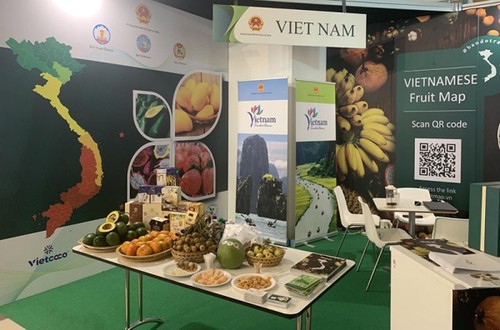 Vietnamese fruits showcased at Macfrut 2021 in Italy - ảnh 1