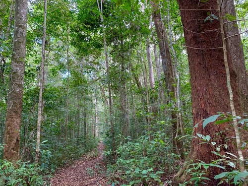 Two more biosphere reserves in Vietnam earn UNESCO recognition - ảnh 13