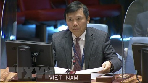 Vietnam attends UNSC meetings on security in DR Congo and Golan Heights  - ảnh 1