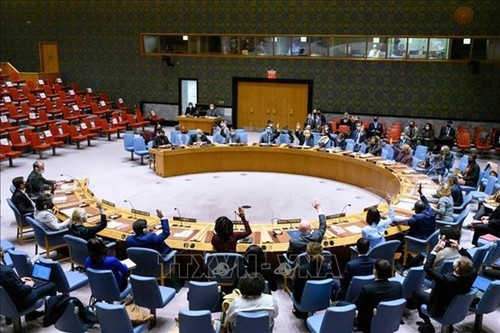 Vietnam calls for full observance of int’l humanitarian law in Ethiopia - ảnh 1