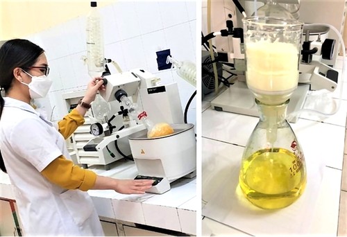 Vietnam successfully synthesizes compounds to produce COVID-19 drugs - ảnh 1