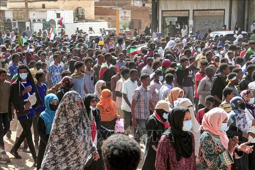 Large-scale protest staged in Sudan’s capital  - ảnh 1