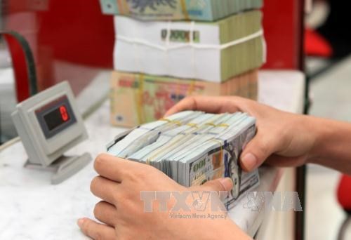 Overseas remittances to Vietnam increase as Tet approaches - ảnh 1