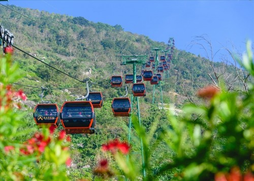 Good signs for local tourism industry in early 2022 - ảnh 1