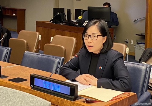 Vietnam reaffirms its consistent policy of nuclear disarmament and non-proliferation - ảnh 1
