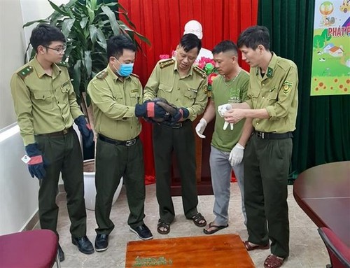 Two endangered animals handed over to national park - ảnh 1