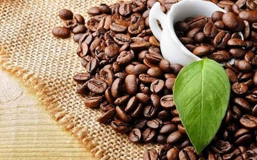 Coffee export turnover exceeds 2 billion USD in five months - ảnh 1