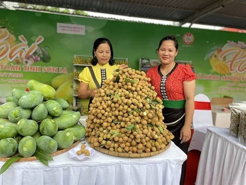Son La mango and safe farm produce week launched in Hanoi - ảnh 1