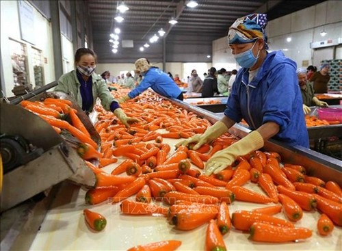 Vietnam aims to be one of top ten global farm produce processors - ảnh 1