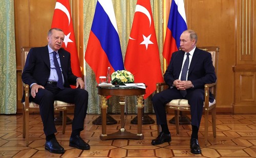 Turkish President meets with President Putin in Sochi  - ảnh 1