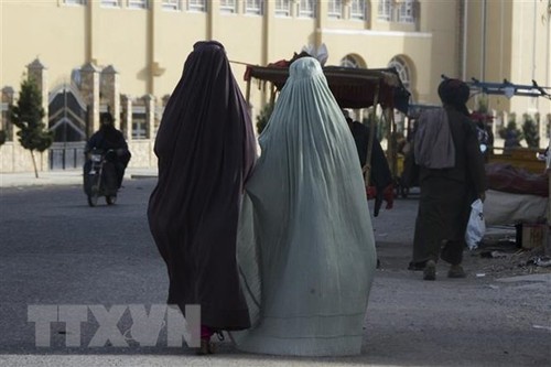 EU expresses concern after Taliban's crackdown on women's rally - ảnh 1