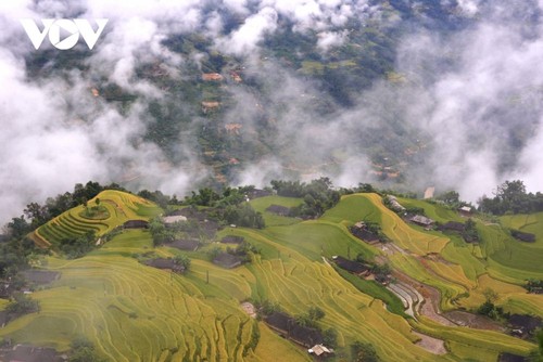 Program " Travel through Hoang Su Phi terraced field 2022" launched   - ảnh 1