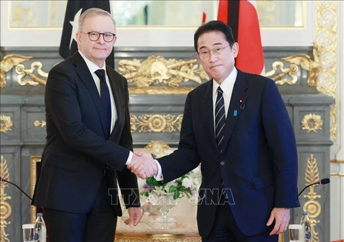 Japan vows to work with Australia, India for free, open Indo-Pacific - ảnh 2