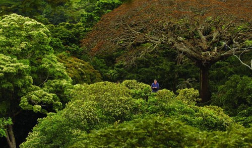 First nature film festival takes place in Viet Nam - ảnh 1