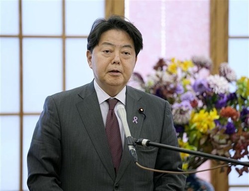 Japan highly speaks of ASEAN's role Indo-Pacific  - ảnh 1